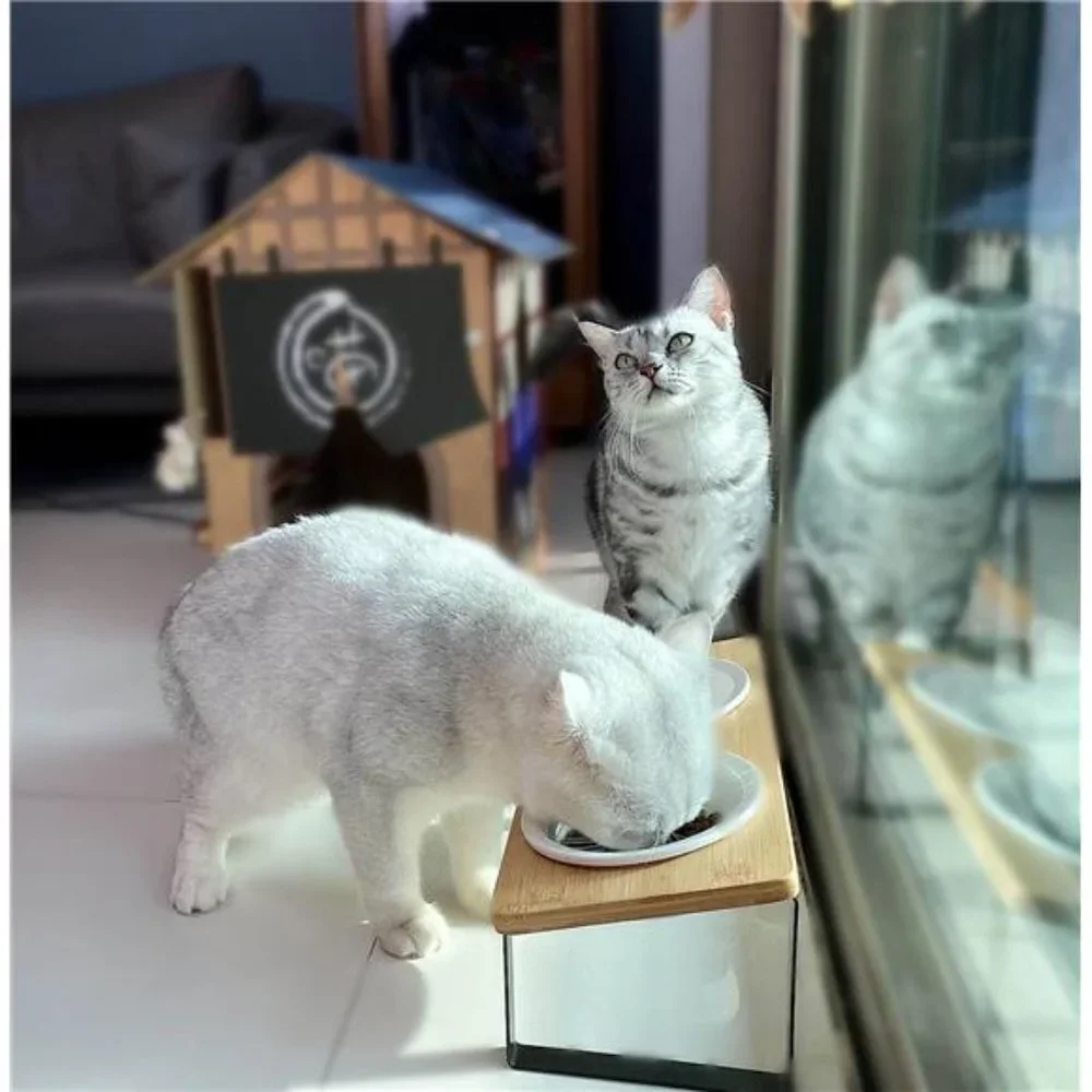 Ceramic Elevated Cat Bowls, Raised Puppy Dishes for Food and Water, Bamboo Stand